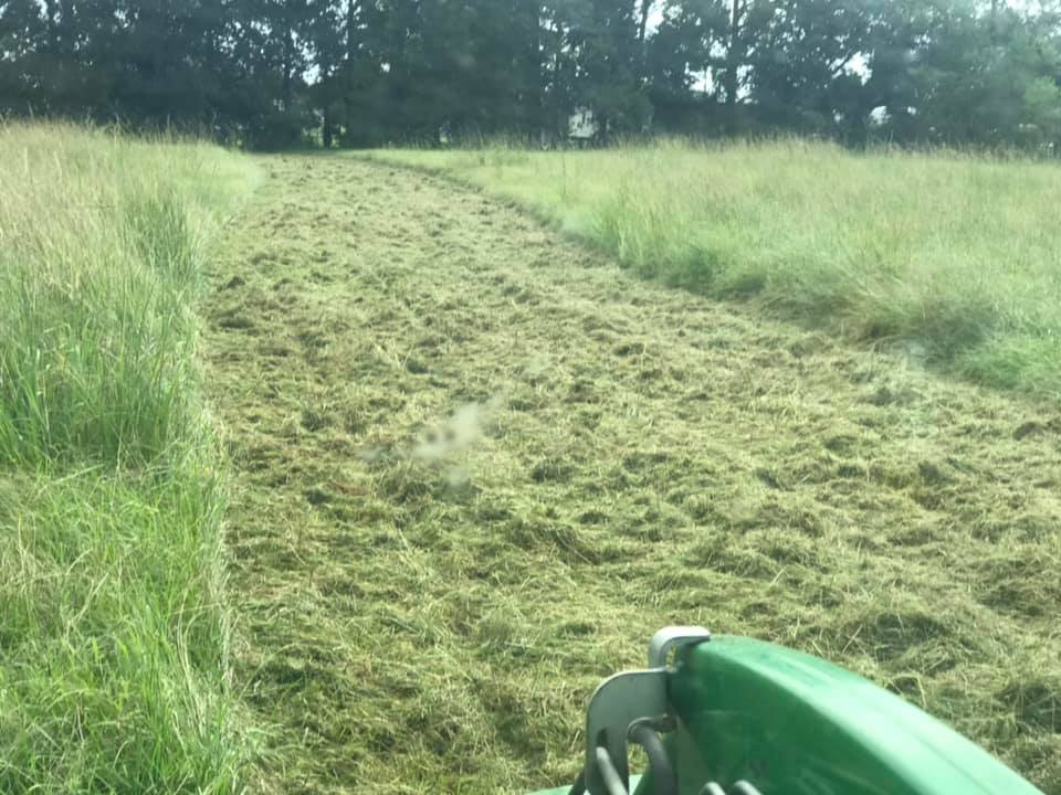 Mowing Grass